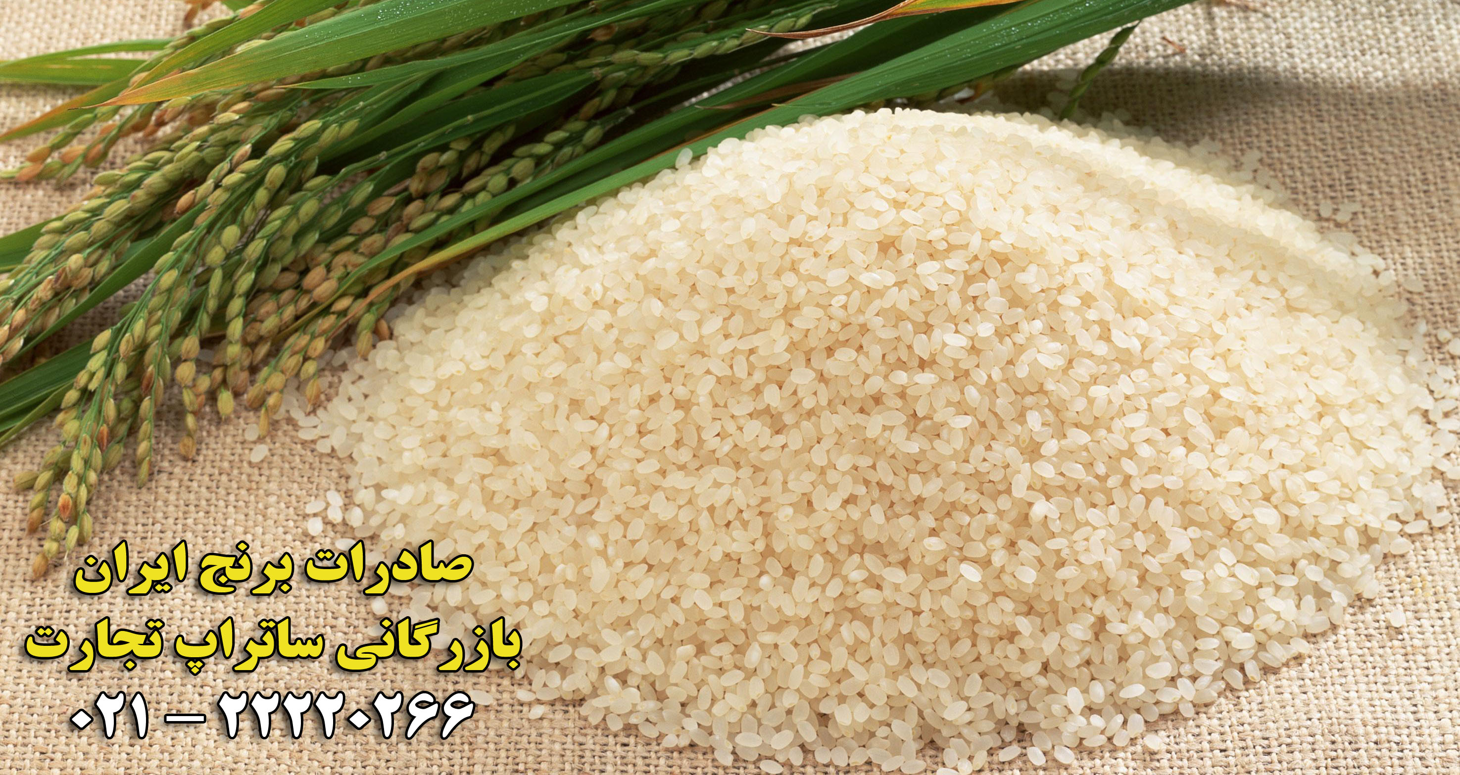 صادرات برنج ایران