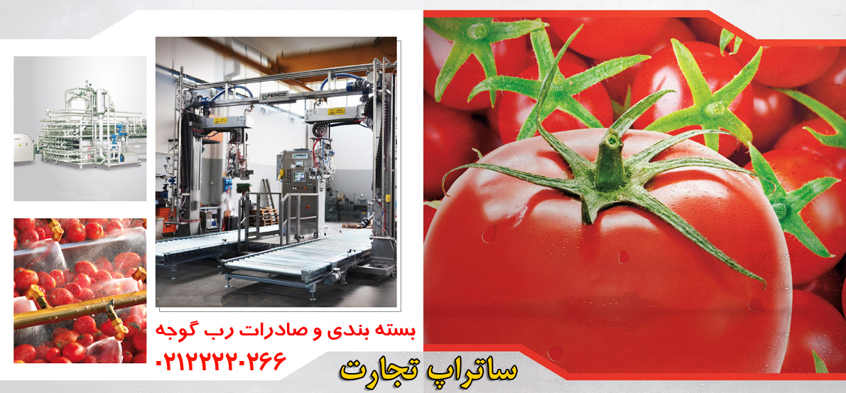 بسته بندی و صادرات رب گوجه